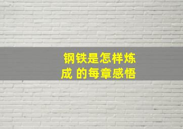 钢铁是怎样炼成 的每章感悟